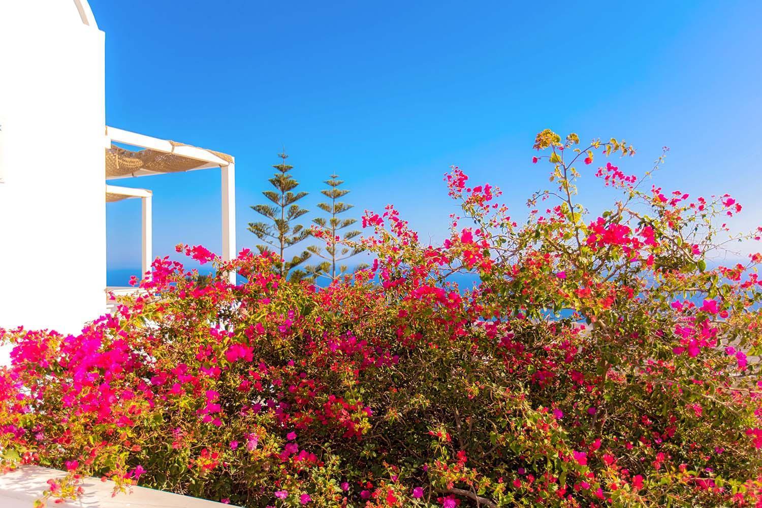 אימרוביגלי Phaos Santorini Suites מראה חיצוני תמונה